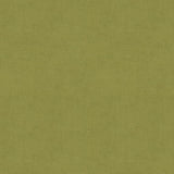 Brunschwig & Fils CHARMANT VELVET FERN Upholstery Fabric