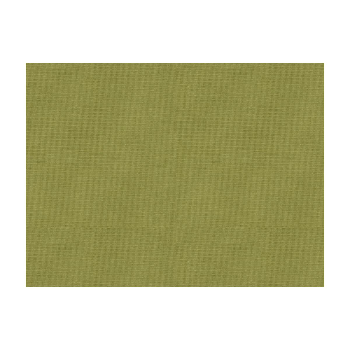 Brunschwig & Fils CHARMANT VELVET FERN Fabric