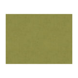 Brunschwig & Fils CHARMANT VELVET FERN Fabric