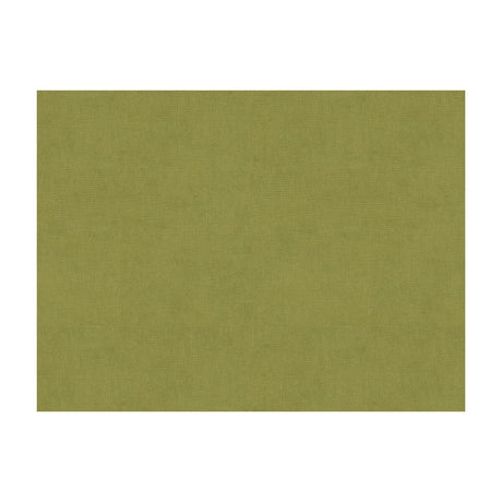 Brunschwig & Fils CHARMANT VELVET FERN Fabric