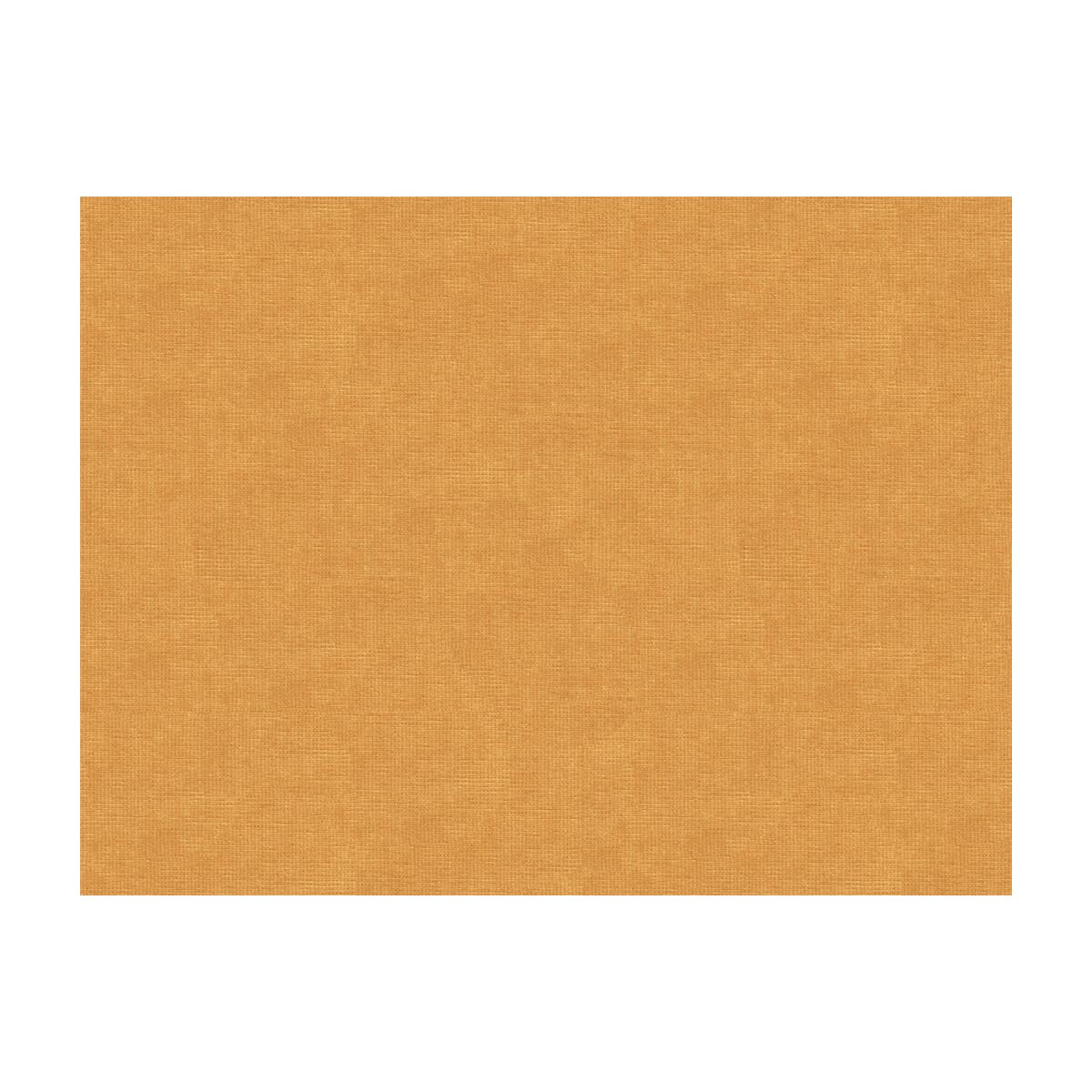 Brunschwig & Fils CHARMANT VELVET RAFFIA Fabric