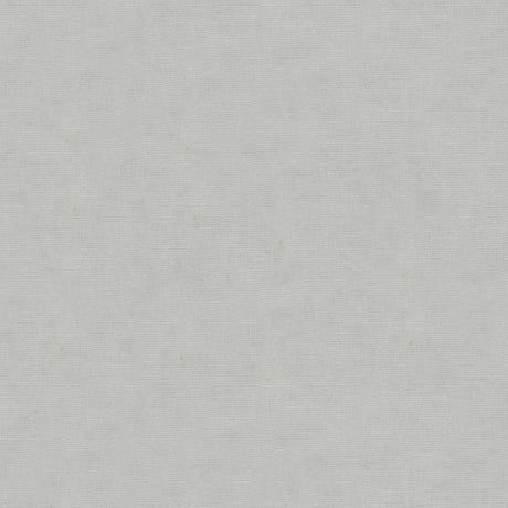 Brunschwig & Fils CHARMANT VELVET SILVER Upholstery Fabric