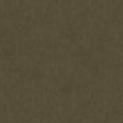 Brunschwig & Fils CHARMANT VELVET ASH Upholstery Fabric