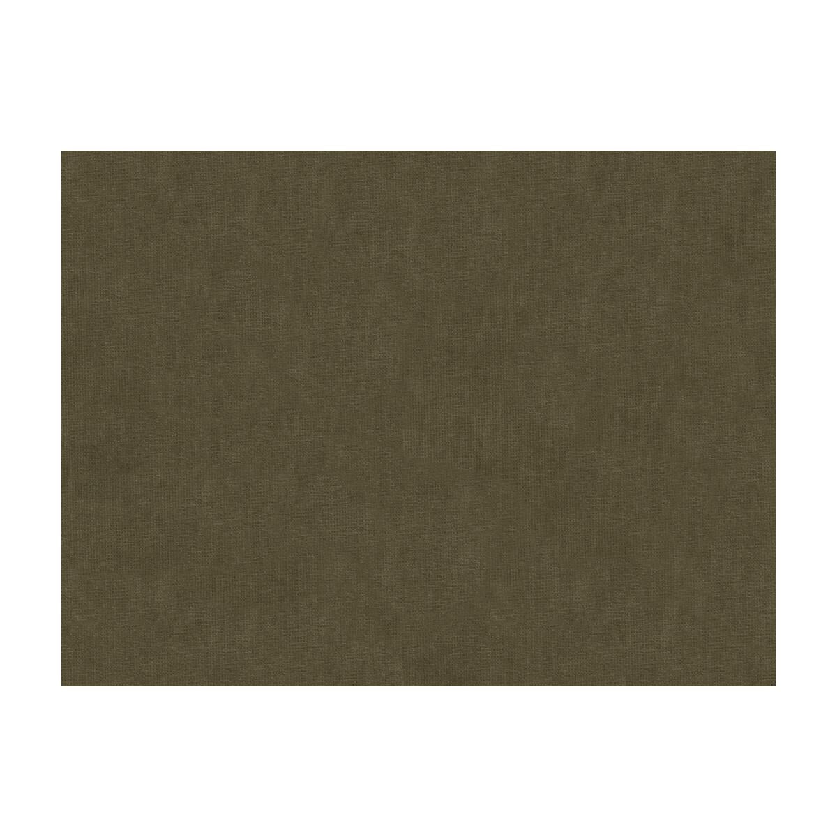 Brunschwig & Fils CHARMANT VELVET ASH Fabric