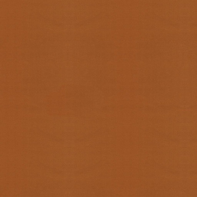 Brunschwig & Fils FAILLE DU BARRY TAN Upholstery Fabric