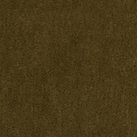 Brunschwig & Fils BACHELOR MOHAIR KHAKI Fabric