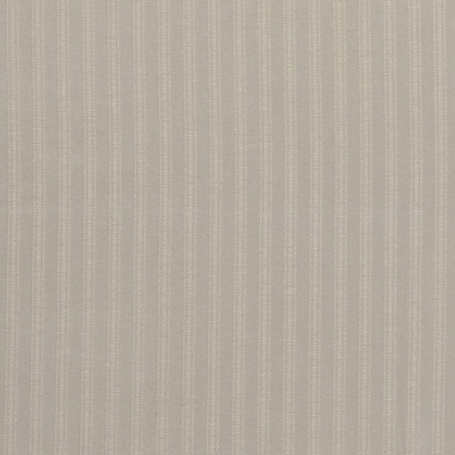 Schumacher Zelda Stripe Platinum Fabric