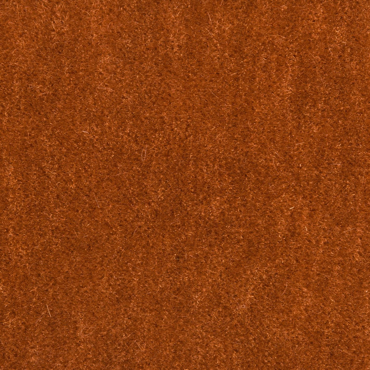 Brunschwig & Fils BACHELOR MOHAIR COGNAC Upholstery Fabric