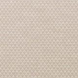 Schumacher Evans Stone Fabric