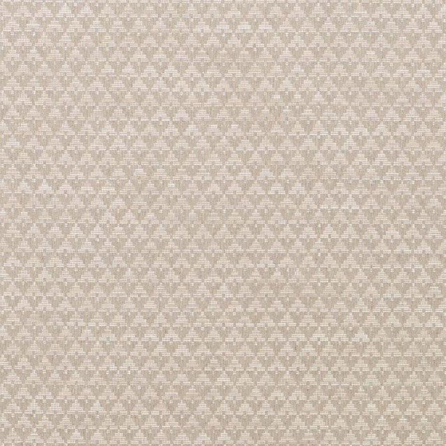 Schumacher Evans Stone Fabric
