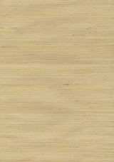 Kravet DESIGN W3107 404 Wallpaper