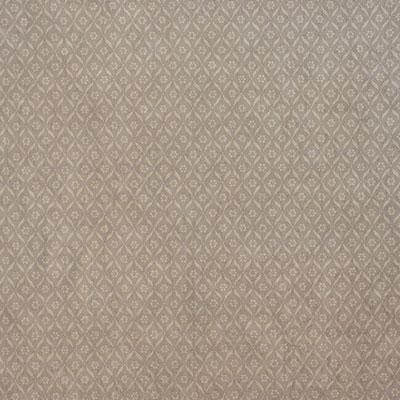 Schumacher Chaplin Pewter Fabric
