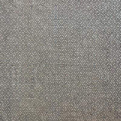 Schumacher Chaplin Mist Fabric
