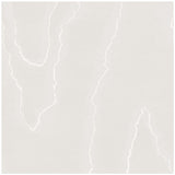 Cole & Son Watered Silk Silver Wallpaper