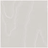 Cole & Son Watered Silk Grey Wallpaper