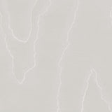 Cole & Son WATERED SILK GREY Wallpaper