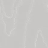 Cole & Son WATERED SILK CLOUD GREY Wallpaper