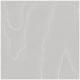 Cole & Son Watered Silk Cloud Grey Wallpaper