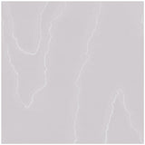 Cole & Son Watered Silk Pigeon Wallpaper