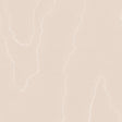 Cole & Son WATERED SILK SALMON Wallpaper