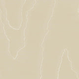 Cole & Son WATERED SILK FAWN Wallpaper