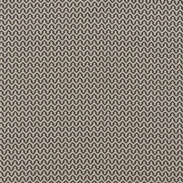 Schumacher Anatole Charcoal Fabric