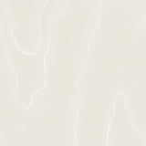 Cole & Son WATERED SILK IVORY Wallpaper