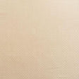 Schumacher Ashton Champagne Fabric