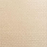 Schumacher Ashton Champagne Fabric