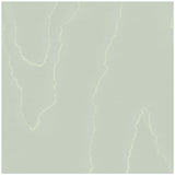 Cole & Son Watered Silk Duck Egg Wallpaper