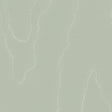 Cole & Son WATERED SILK SAGE Wallpaper