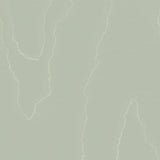 Cole & Son WATERED SILK SAGE Wallpaper