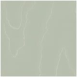 Cole & Son Watered Silk Sage Wallpaper
