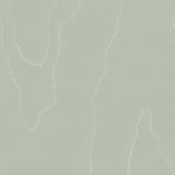 Cole & Son WATERED SILK SAGE Wallpaper