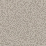 Cole & Son PEBBLE MUSHROOM Wallpaper