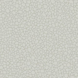 Cole & Son PEBBLE PALE GREY Wallpaper