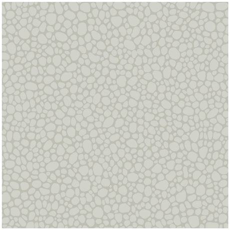 Cole & Son Pebble Pale Grey Wallpaper