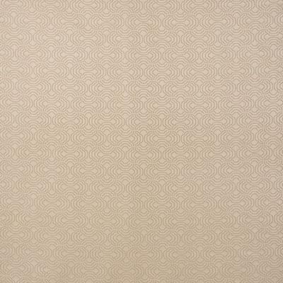 Schumacher Apollo Moonstone Fabric