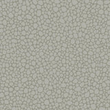 Cole & Son PEBBLE GREY Wallpaper