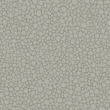 Cole & Son PEBBLE GREY Wallpaper