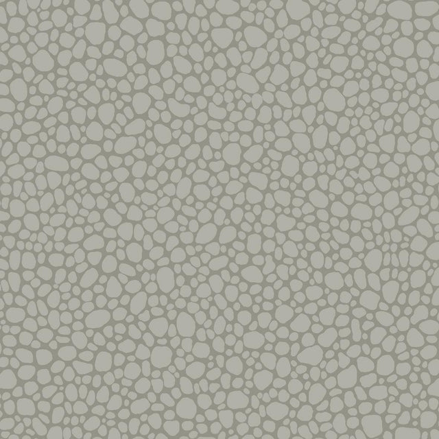 Cole & Son PEBBLE GREY Wallpaper