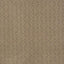 Schumacher Apollo Bronze Fabric