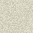 Cole & Son PEBBLE STONE Wallpaper
