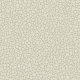Cole & Son PEBBLE STONE Wallpaper
