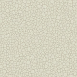Cole & Son PEBBLE STONE Wallpaper