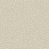 Cole & Son PEBBLE PARCHMENT Wallpaper