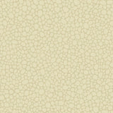Cole & Son PEBBLE CREAM Wallpaper