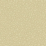 Cole & Son PEBBLE LATTE Wallpaper