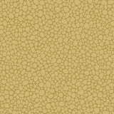 Cole & Son PEBBLE SAND Wallpaper