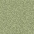 Cole & Son PEBBLE DARK OLIVE Wallpaper